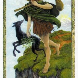 Printable Tarot Deck PDF | Complete Card Tarot Set | Large and Medium Sizes | Instant Digital Download | DIY Tarot Cards - DruidCraft Tarot Deck