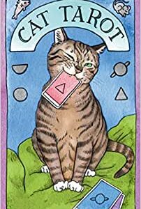 Cat Tarot Guide Book