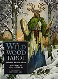 Wild wood tarot Guidebook